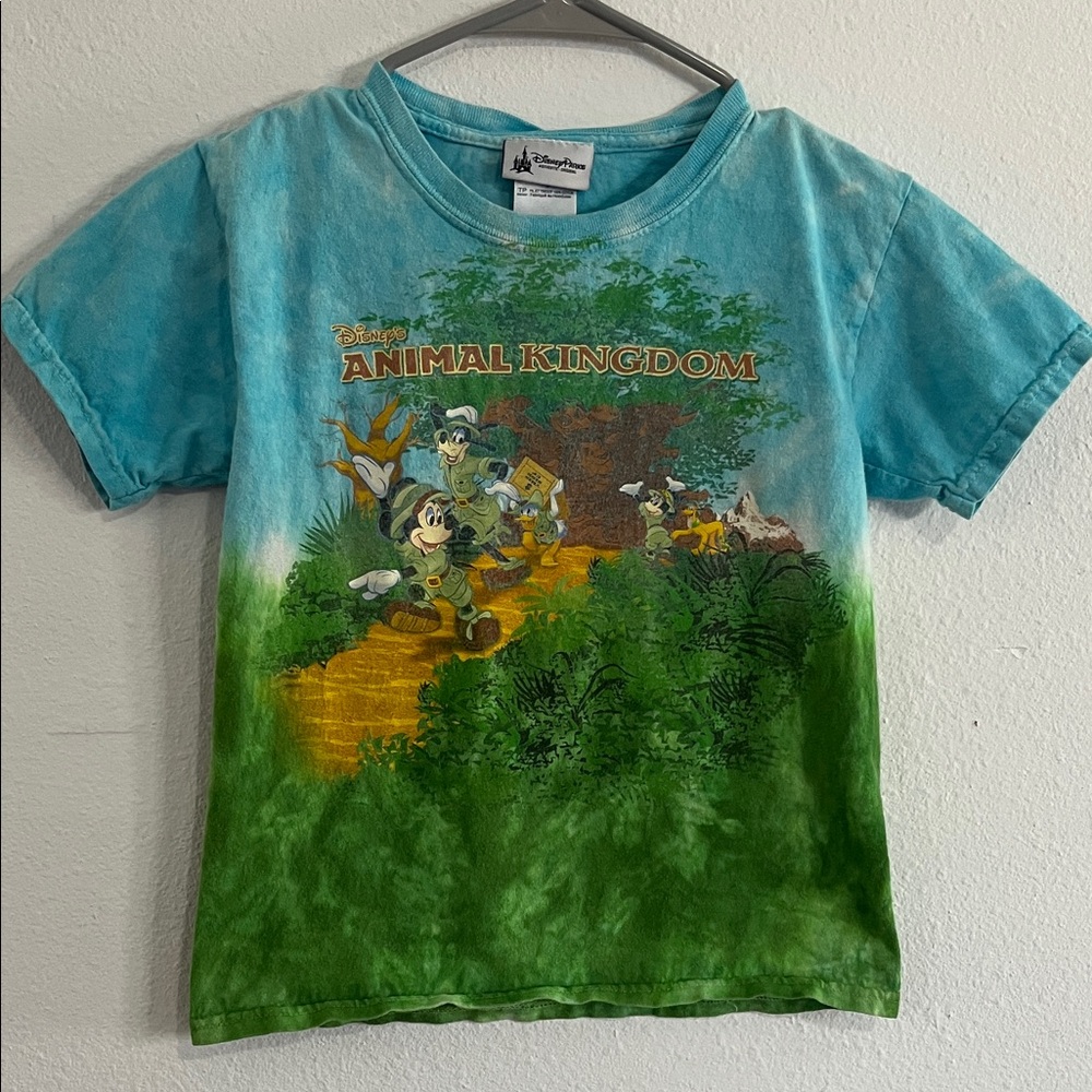 Disney Animal Kingdom Kids Tee - Blue and Green